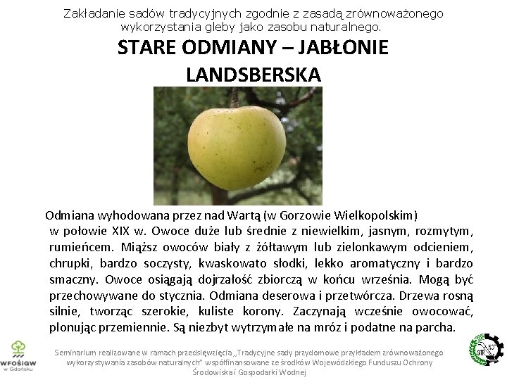 Zakładanie sadów tradycyjnych zgodnie z zasadą zrównoważonego wykorzystania gleby jako zasobu naturalnego. STARE ODMIANY