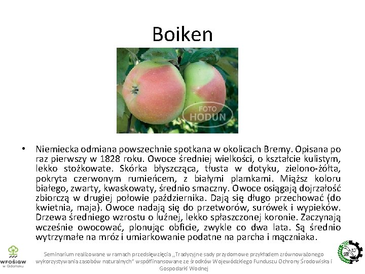 Boiken • Niemiecka odmiana powszechnie spotkana w okolicach Bremy. Opisana po raz pierwszy w