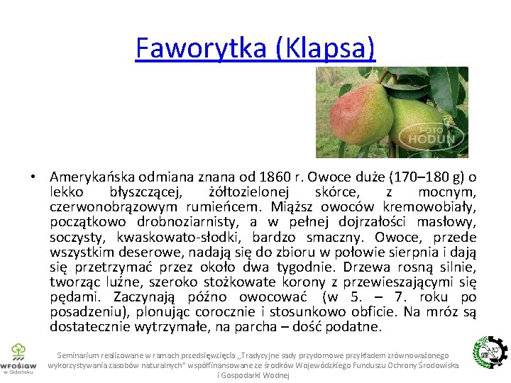 Faworytka (Klapsa) • Amerykańska odmiana znana od 1860 r. Owoce duże (170– 180 g)