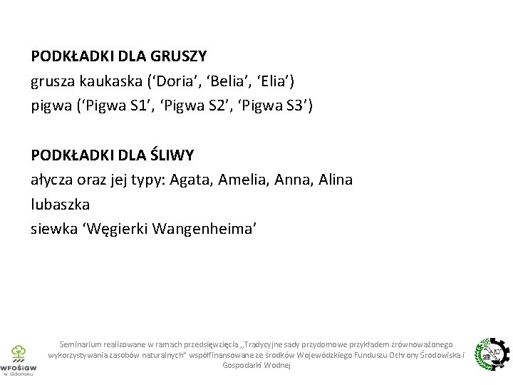 PODKŁADKI DLA GRUSZY grusza kaukaska (‘Doria’, ‘Belia’, ‘Elia’) pigwa (‘Pigwa S 1’, ‘Pigwa S