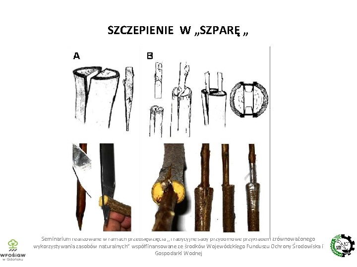 SZCZEPIENIE W „SZPARĘ „ Seminarium realizowane w ramach przedsięwzięcia , , Tradycyjne sady przydomowe