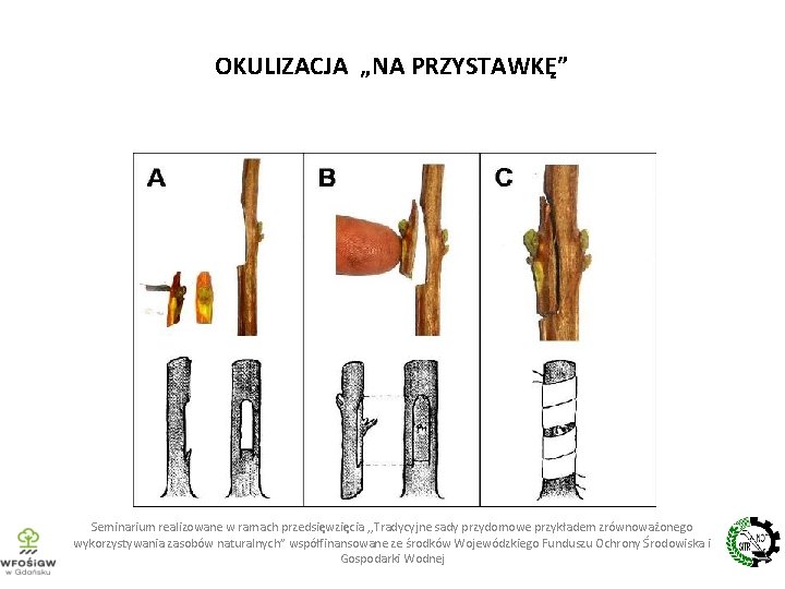 OKULIZACJA „NA PRZYSTAWKĘ” Seminarium realizowane w ramach przedsięwzięcia , , Tradycyjne sady przydomowe przykładem