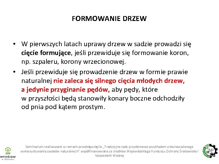 FORMOWANIE DRZEW • W pierwszych latach uprawy drzew w sadzie prowadzi się cięcie formujące,