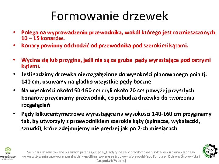 Formowanie drzewek • Polega na wyprowadzeniu przewodnika, wokół którego jest rozmieszczonych 10 – 15