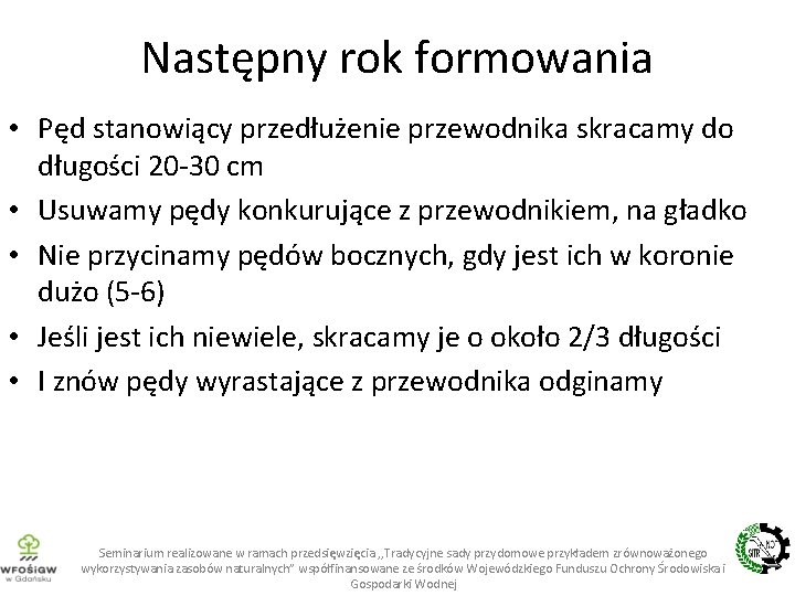 Następny rok formowania • Pęd stanowiący przedłużenie przewodnika skracamy do długości 20 -30 cm