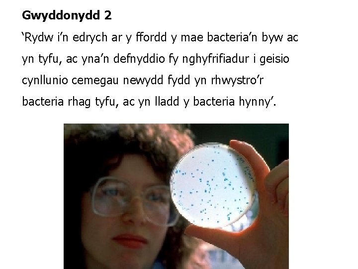 Gwyddonydd 2 ‘Rydw i’n edrych ar y ffordd y mae bacteria’n byw ac yn