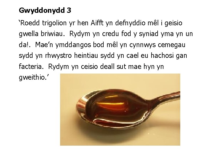 Gwyddonydd 3 ‘Roedd trigolion yr hen Aifft yn defnyddio mêl i geisio gwella briwiau.