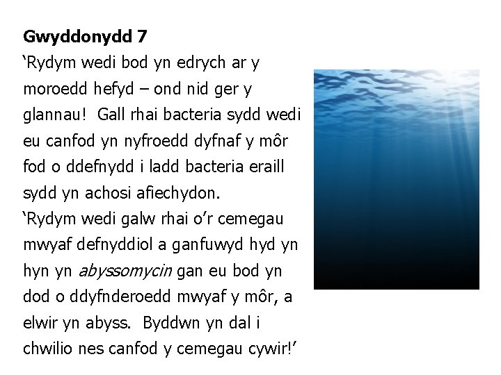 Gwyddonydd 7 ‘Rydym wedi bod yn edrych ar y moroedd hefyd – ond nid