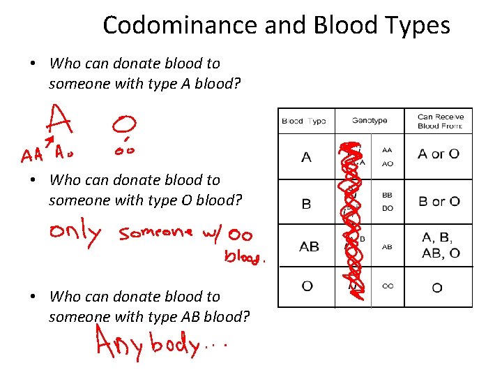Codominance and Blood Types • Who can donate blood to someone with type A