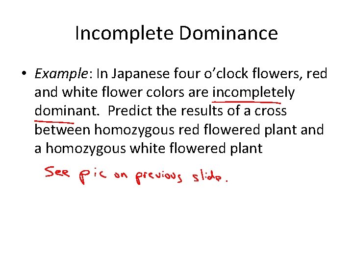 Incomplete Dominance • Example: In Japanese four o’clock flowers, red and white flower colors