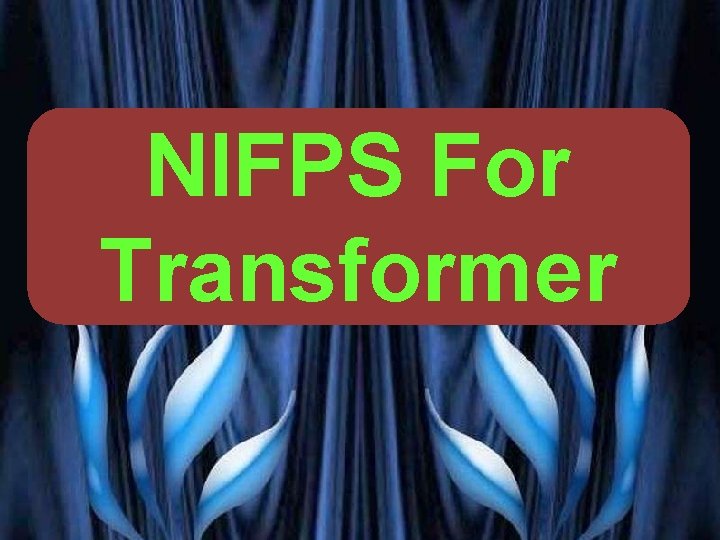 NIFPS For Transformer VG PATEL 