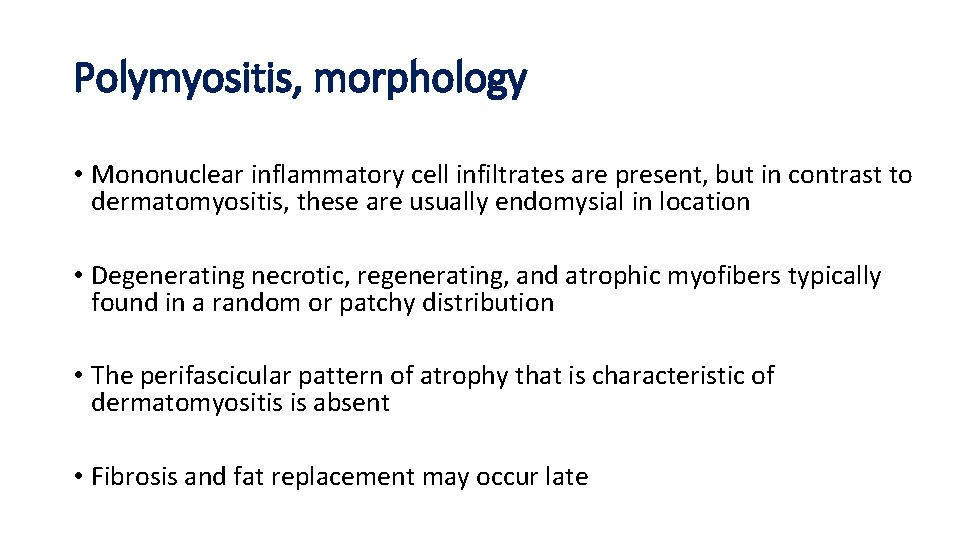 Polymyositis, morphology • Mononuclear inflammatory cell infiltrates are present, but in contrast to dermatomyositis,