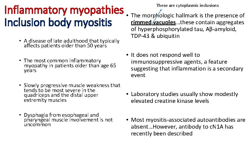 These are cytoplasmic inclusions Inflammatory myopathies • The morphologic hallmark is the presence of