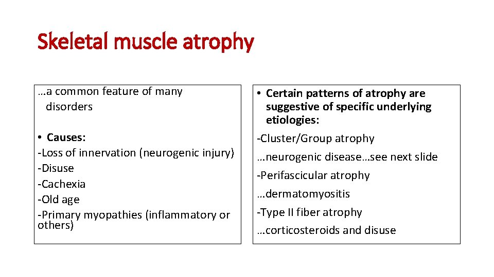 Skeletal muscle atrophy …a common feature of many disorders • Causes: -Loss of innervation