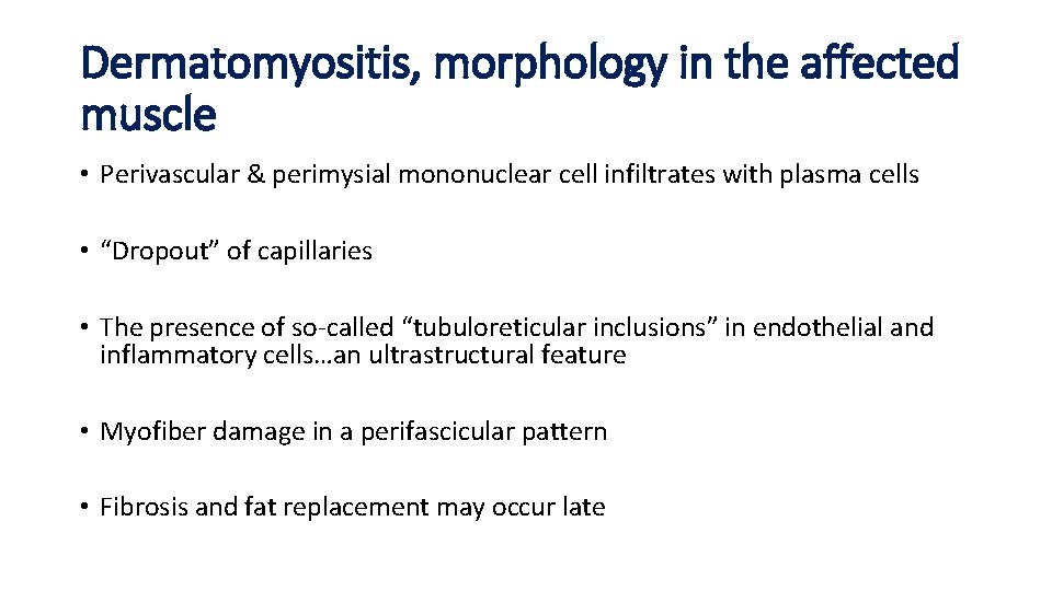 Dermatomyositis, morphology in the affected muscle • Perivascular & perimysial mononuclear cell infiltrates with