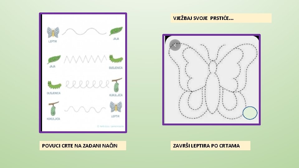 VJEŽBAJ SVOJE PRSTIĆE. . . POVUCI CRTE NA ZADANI NAČIN ZAVRŠI LEPTIRA PO CRTAMA