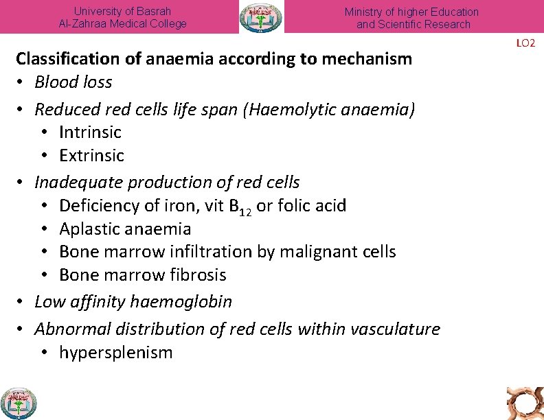 University of Basrah Al-Zahraa Medical College Ministry of higher Education and Scientific Research Classification