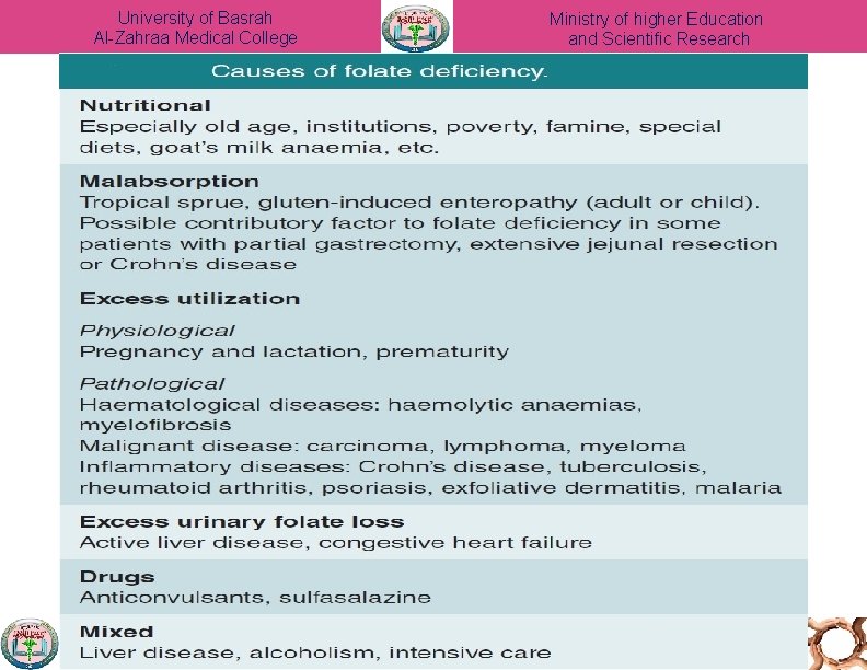 University of Basrah Al-Zahraa Medical College Ministry of higher Education and Scientific Research 