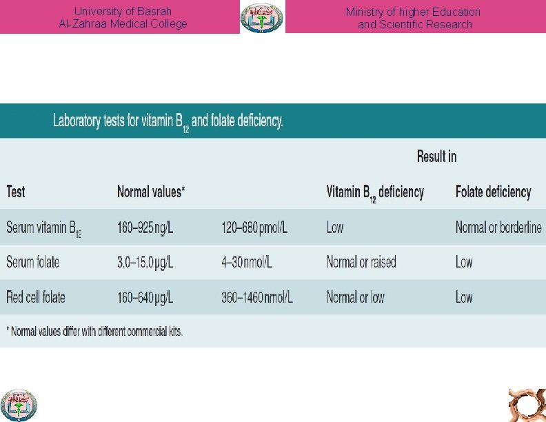 University of Basrah Al-Zahraa Medical College Ministry of higher Education and Scientific Research 