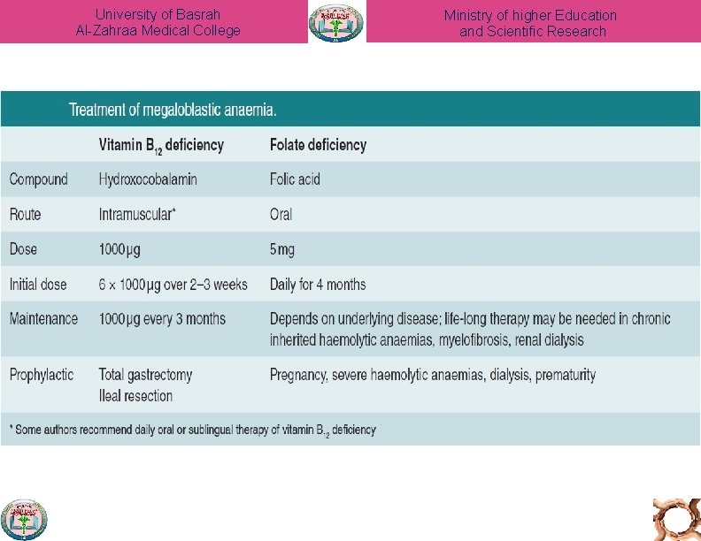 University of Basrah Al-Zahraa Medical College Ministry of higher Education and Scientific Research 