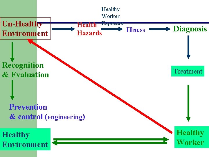 Un-Healthy Environment Healthy Worker Exposure Health Hazards Recognition & Evaluation Illness Diagnosis Treatment Prevention Un-Healthy Environment Healthy Worker Exposure Health Hazards Recognition & Evaluation Illness Diagnosis Treatment Prevention
