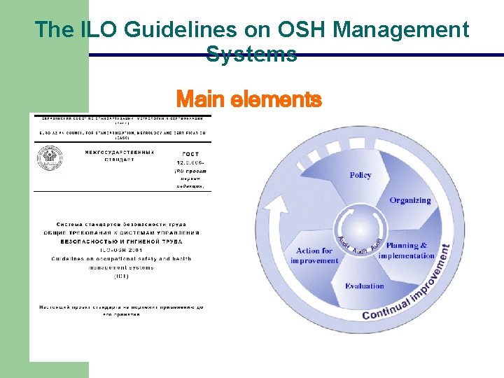 The ILO Guidelines on OSH Management Systems Main elements The ILO Guidelines on OSH Management Systems Main elements