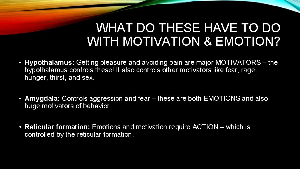 WHAT DO THESE HAVE TO DO WITH MOTIVATION & EMOTION? • Hypothalamus: Getting pleasure