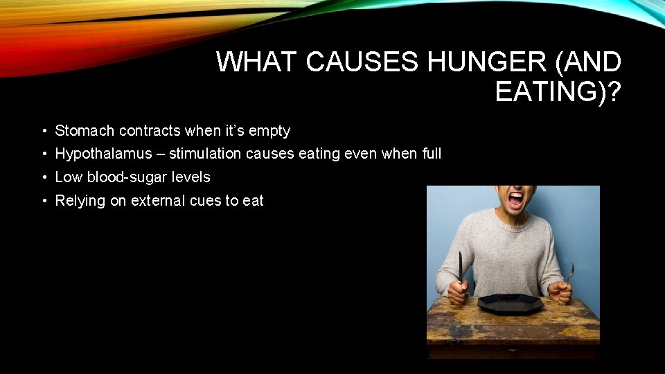 WHAT CAUSES HUNGER (AND EATING)? • Stomach contracts when it’s empty • Hypothalamus –