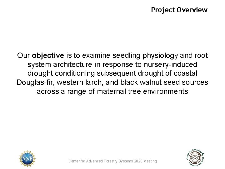 Project Overview Our objective is to examine seedling physiology and root system architecture in