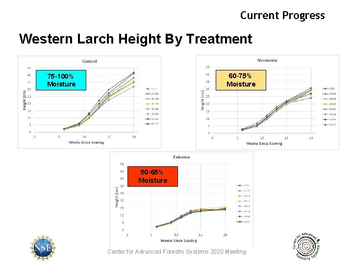 Current Progress Western Larch Height By Treatment 60 -75% Moisture 75 -100% Moisture 50