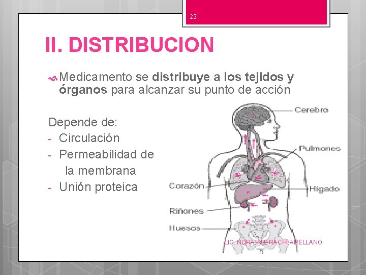 22 II. DISTRIBUCION Medicamento se distribuye a los tejidos y órganos para alcanzar su