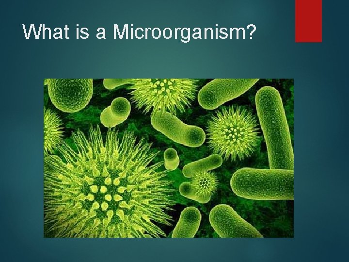 What is a Microorganism? 