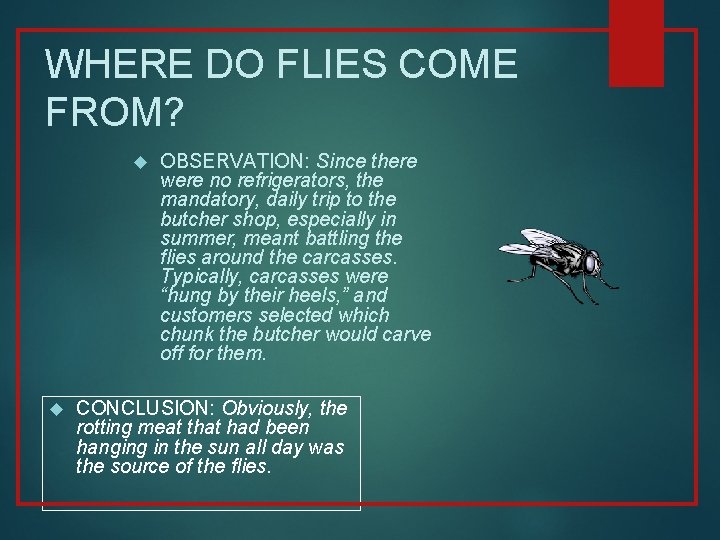 WHERE DO FLIES COME FROM? OBSERVATION: Since there were no refrigerators, the mandatory, daily