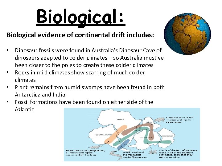 Biological: Biological evidence of continental drift includes: • Dinosaur fossils were found in Australia's
