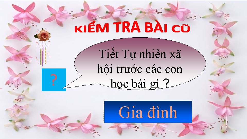 ? Tiết Tự nhiên xã hội trước các con học bài gì ? Gia