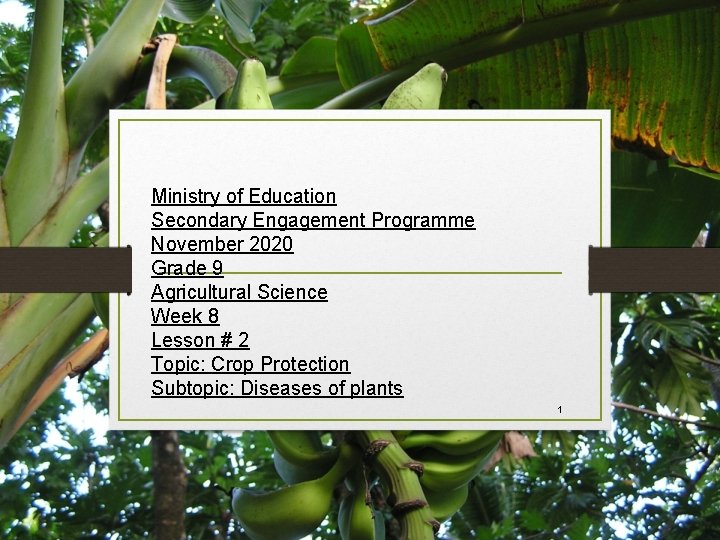 Ministry of Education Secondary Engagement Programme November 2020 Grade 9 Agricultural Science Week 8