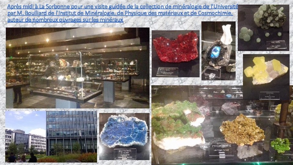 Après midi à La Sorbonne pour une visite guidée de la collection de minéralogie