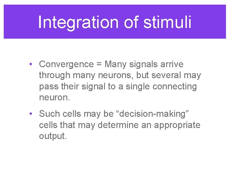 Integration of stimuli • Convergence = Many signals arrive through many neurons, but several