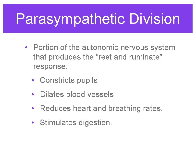 Parasympathetic Division • Portion of the autonomic nervous system that produces the “rest and