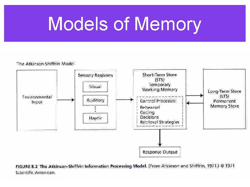 Models of Memory 