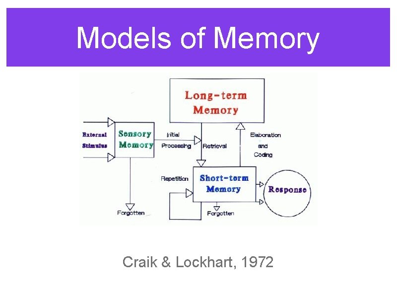 Models of Memory Craik & Lockhart, 1972 