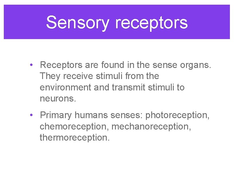 Sensory receptors • Receptors are found in the sense organs. They receive stimuli from