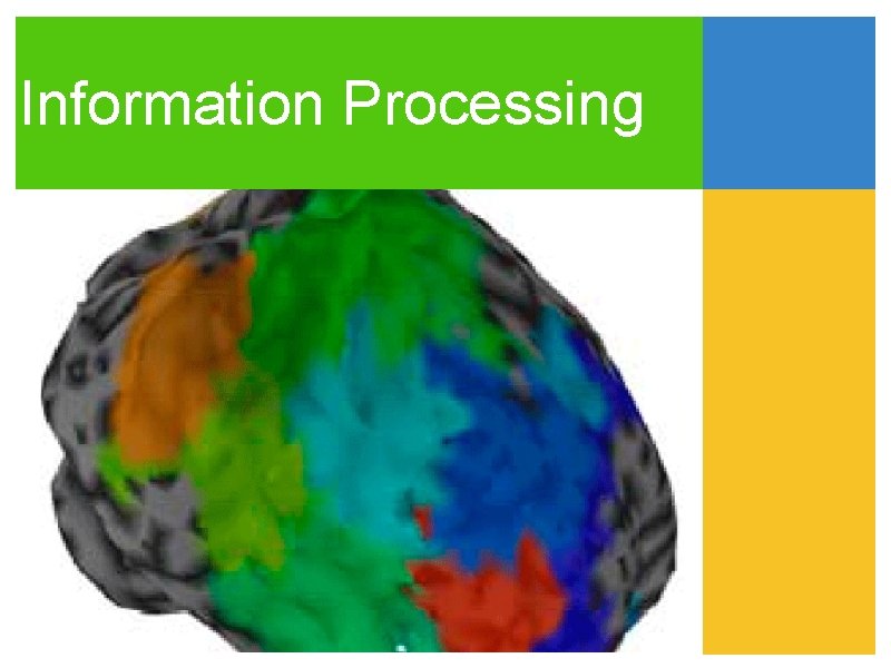 Information Processing 