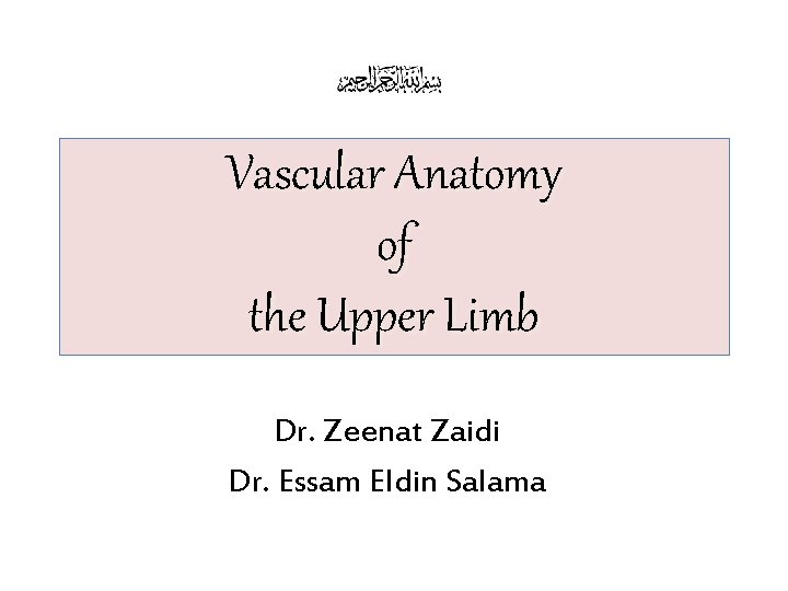 Vascular Anatomy of the Upper Limb Dr. Zeenat Zaidi Dr. Essam Eldin Salama 