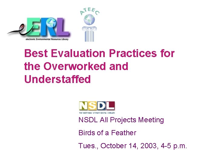 Best Evaluation Practices for the Overworked and Understaffed NSDL All Projects Meeting Birds of