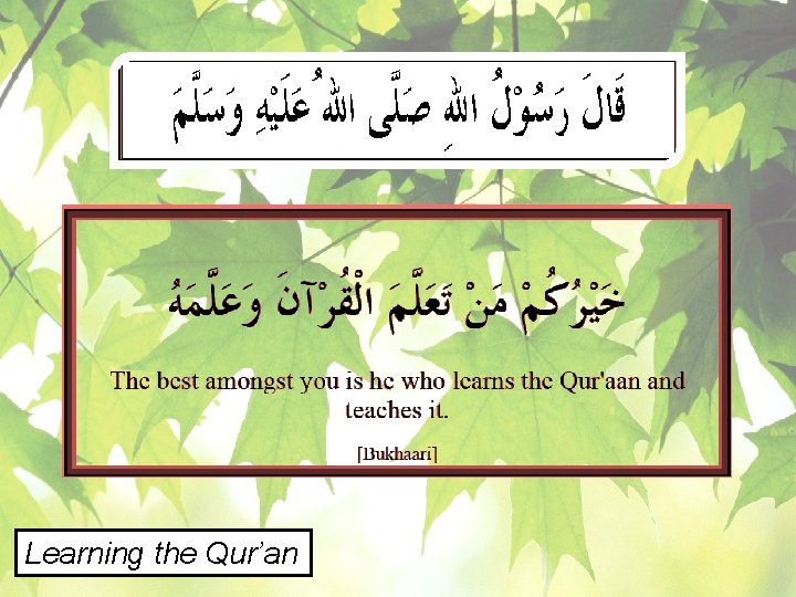 Learning the Qur’an 