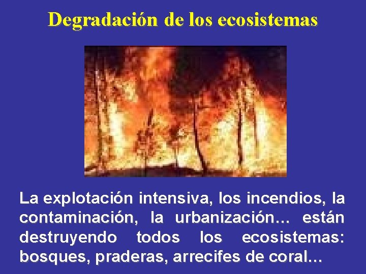 Degradación de los ecosistemas La explotación intensiva, los incendios, la contaminación, la urbanización… están