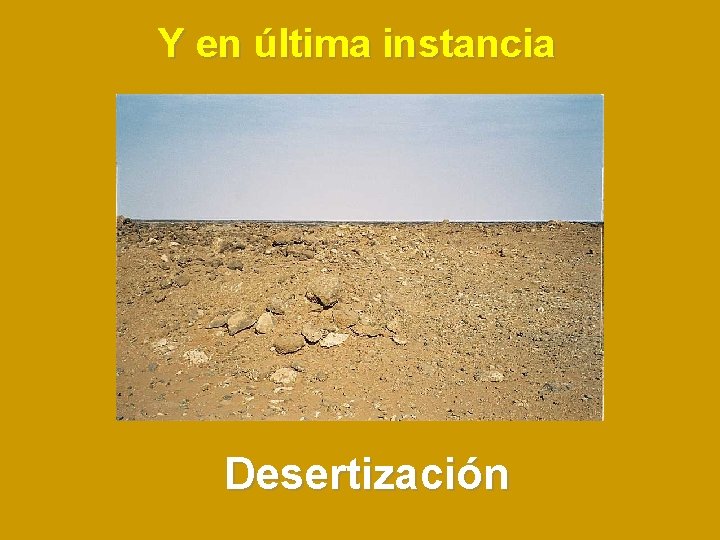 Y en última instancia Desertización 