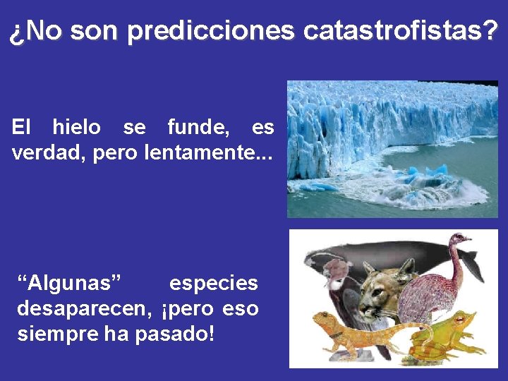 ¿No son predicciones catastrofistas? El hielo se funde, es verdad, pero lentamente. . .