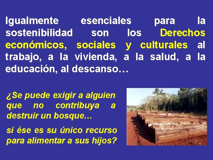 Igualmente esenciales para la sostenibilidad son los Derechos económicos, sociales y culturales al trabajo,